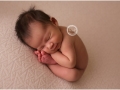 Santa-Cruz-Newborn-Photographer_2574
