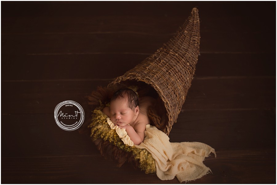 richmond newborn baby photography