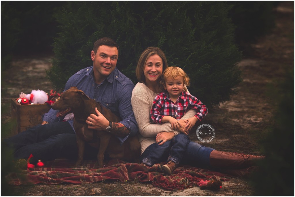 family photographer monterey, monterey family photographer, carmel family photographer, santa cruz family photographer, professional photographer, tree farm, holiday session, mini session, fall family session, christmas card session